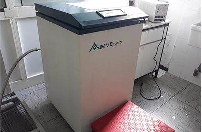 MVE XLC 500.jpg MVE XLC 500.jpg